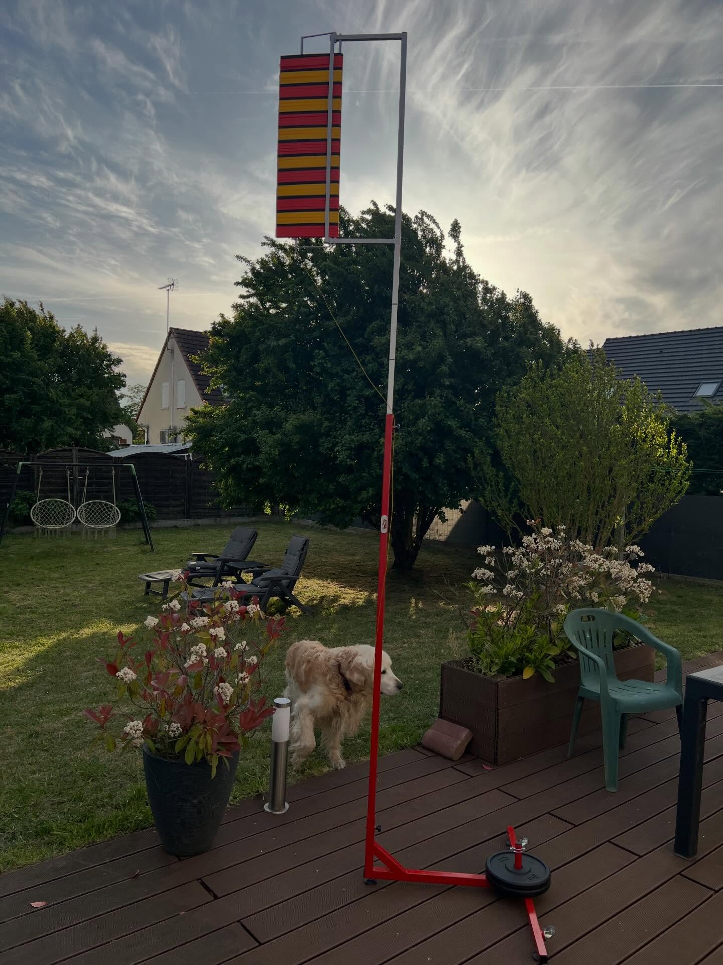 Vertical Jump